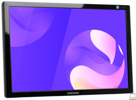 Samsung 2243lnx - 22 inch - 1680x1050 - vga - zonder voet - zwart